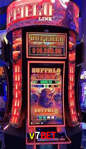 Programa VIP v7bet